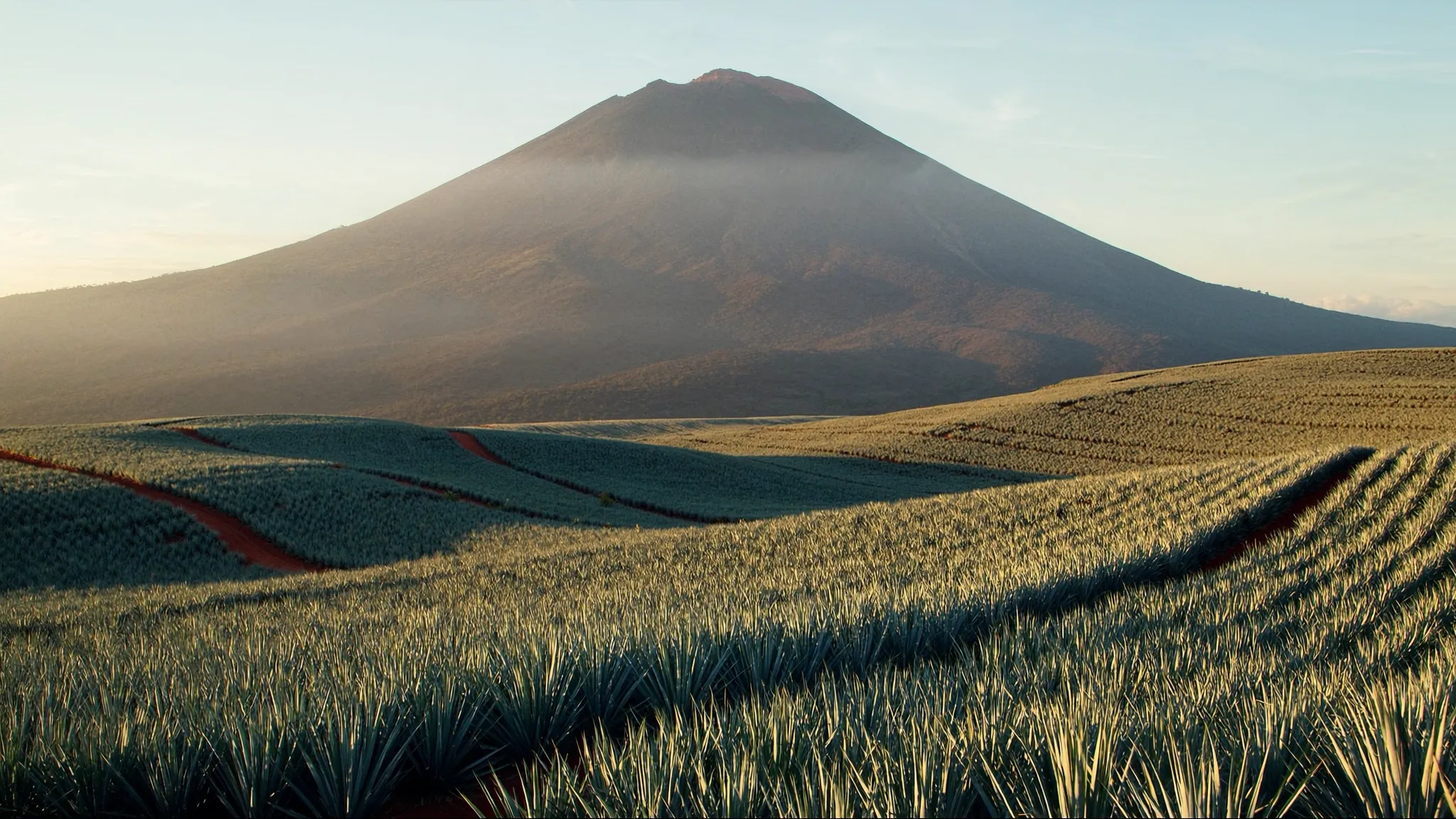 The Volcán de Tequila rising above blue agave fields in Jalisco